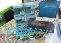 Dスタイルのギーラカンス、ハイドアップのコイケ17mm、コイケフィッシュM・L、BAUMのMUON