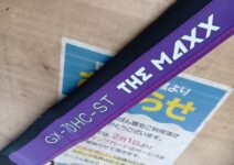 レイドジャパン グラディエーターマキシマム GX-70HC-ST