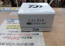 ダイワ 18カルディアLT2500S-XH