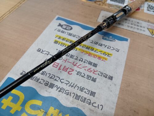 エバーグリーン カレイドインスピラーレTKIC-66M