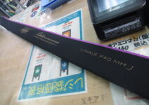 フェンウィックのリンクス74CMHJ