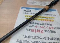 メガバス デストロイヤー霧雨F5st-65XSカメヤマスペシャル