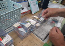 ソルトルアーの売価変更中
